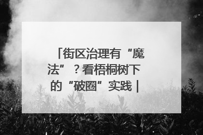 街区治理有“魔法”？看梧桐树下的“破圈”实践｜我在街区当书记