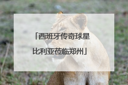 西班牙传奇球星 比利亚莅临郑州