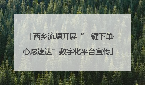 西乡流塘开展“一键下单·心愿速达”数字化平台宣传