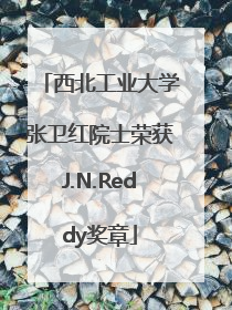 西北工业大学张卫红院士荣获J.N.Reddy奖章