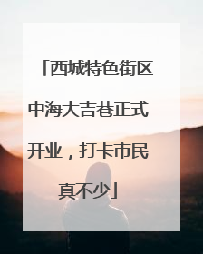 西城特色街区中海大吉巷正式开业，打卡市民真不少