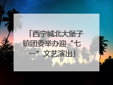 西宁城北大堡子镇团委举办迎“七一”文艺演出