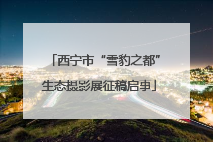 西宁市“雪豹之都”生态摄影展征稿启事