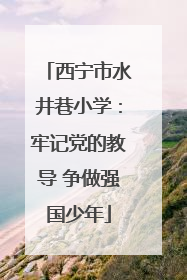 西宁市水井巷小学：牢记党的教导 争做强国少年