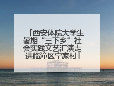 西安体院大学生暑期“三下乡”社会实践文艺汇演走进临潼区宁家村