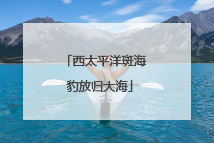 西太平洋斑海豹放归大海