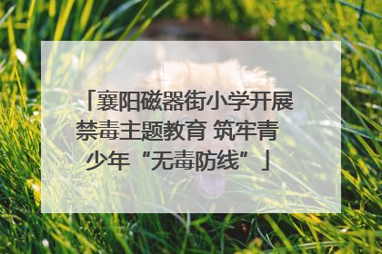 襄阳磁器街小学开展禁毒主题教育 筑牢青少年“无毒防线”