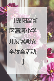 襄阳高新区清河小学开展暑期安全教育活动