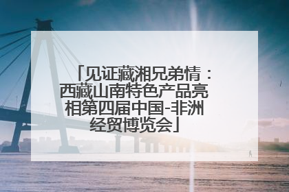 见证藏湘兄弟情：西藏山南特色产品亮相第四届中国-非洲经贸博览会