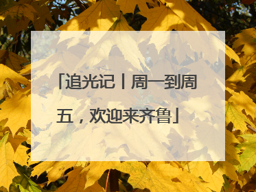 追光记丨周一到周五，欢迎来齐鲁