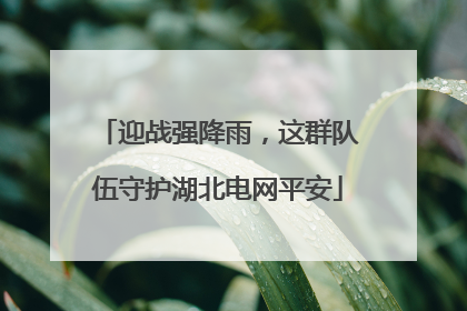 迎战强降雨，这群队伍守护湖北电网平安