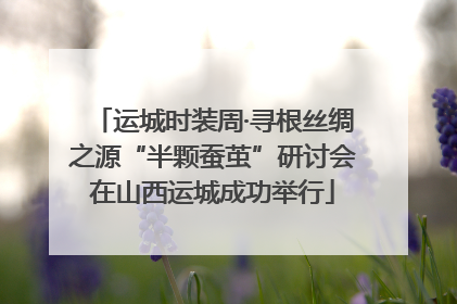 运城时装周·寻根丝绸之源“半颗蚕茧”研讨会在山西运城成功举行