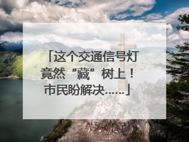这个交通信号灯竟然“藏”树上！市民盼解决……