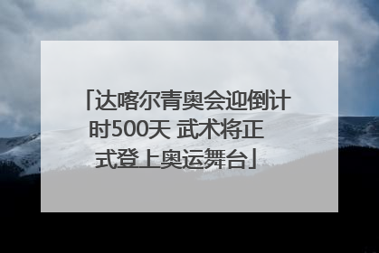 达喀尔青奥会迎倒计时500天 武术将正式登上奥运舞台