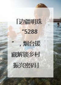 边疆明珠“5288”，烟台援藏解锁乡村振兴密码