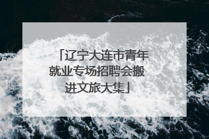 辽宁大连市青年就业专场招聘会搬进文旅大集
