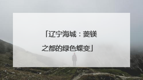 辽宁海城：菱镁之都的绿色蝶变