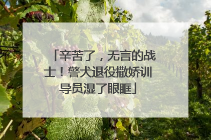 辛苦了，无言的战士！警犬退役撒娇训导员湿了眼眶