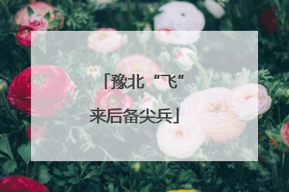 豫北“飞”来后备尖兵