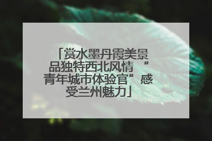 赏水墨丹霞美景 品独特西北风情 “青年城市体验官”感受兰州魅力