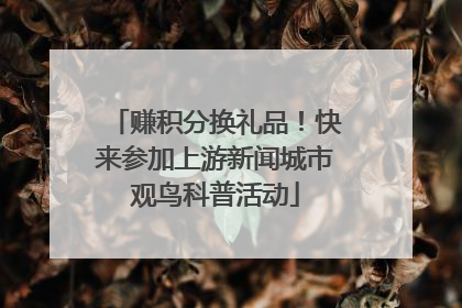 赚积分换礼品！快来参加上游新闻城市观鸟科普活动