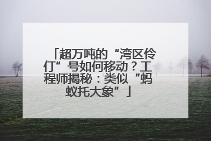 超万吨的“湾区伶仃”号如何移动？工程师揭秘：类似“蚂蚁托大象”