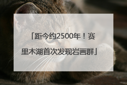 距今约2500年！赛里木湖首次发现岩画群