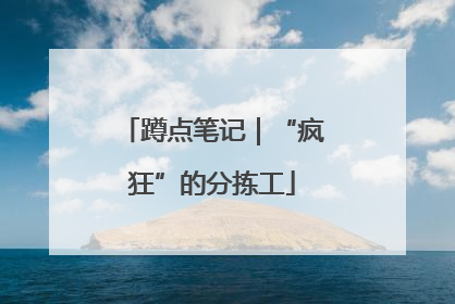 蹲点笔记｜“疯狂”的分拣工