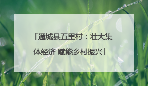 通城县五里村：壮大集体经济 赋能乡村振兴