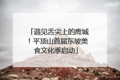 遇见舌尖上的鹰城！平顶山首届东坡美食文化季启动