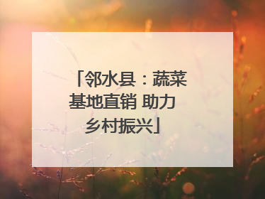 邻水县：蔬菜基地直销 助力乡村振兴