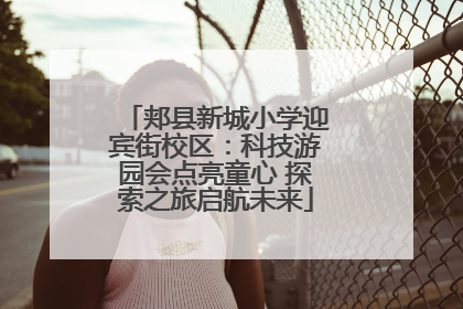 郏县新城小学迎宾街校区：科技游园会点亮童心 探索之旅启航未来