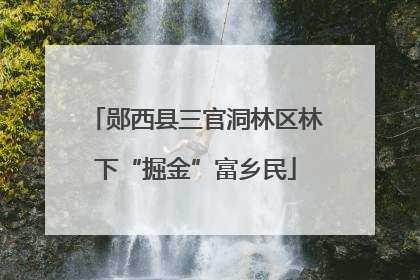 郧西县三官洞林区林下“掘金”富乡民