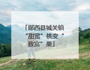 郧西县城关镇“甜蜜”桃变“致富”果