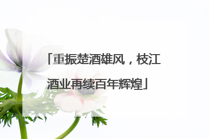 重振楚酒雄风，枝江酒业再续百年辉煌