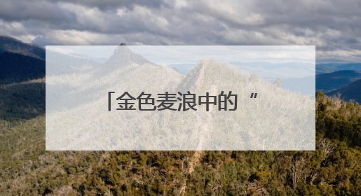 金色麦浪中的“精准较量”石家庄市开展小麦机收减损大比武