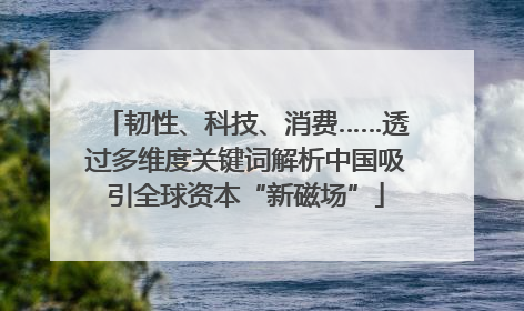 韧性、科技、消费……透过多维度关键词解析中国吸引全球资本“新磁场”