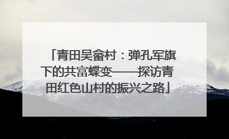 青田吴畲村：弹孔军旗下的共富蝶变——探访青田红色山村的振兴之路