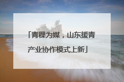 青稞为媒，山东援青产业协作模式上新