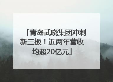 青岛武晓集团冲刺新三板！近两年营收均超20亿元