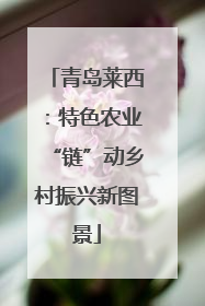 青岛莱西：特色农业“链”动乡村振兴新图景