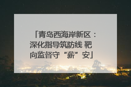青岛西海岸新区：深化指导筑防线 靶向监督守“薪”安