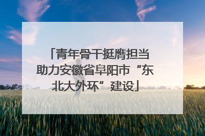 青年骨干挺膺担当 助力安徽省阜阳市“东北大外环”建设