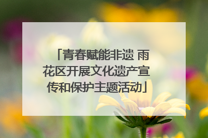 青春赋能非遗 雨花区开展文化遗产宣传和保护主题活动