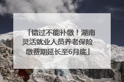 错过不能补缴！湖南灵活就业人员养老保险缴费期延长至6月底