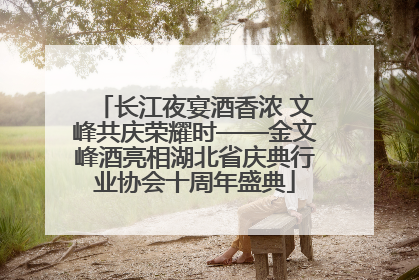 长江夜宴酒香浓 文峰共庆荣耀时——金文峰酒亮相湖北省庆典行业协会十周年盛典