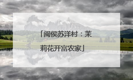 闽侯苏洋村：茉莉花开富农家