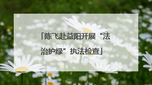 陈飞赴益阳开展“法治护绿”执法检查