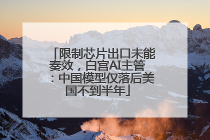 限制芯片出口未能奏效，白宫AI主管：中国模型仅落后美国不到半年