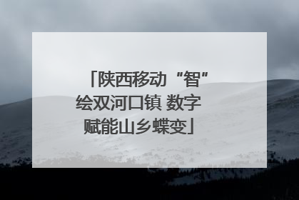 陕西移动“智”绘双河口镇 数字赋能山乡蝶变